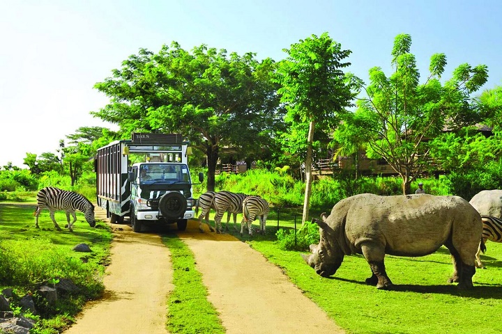 Vinpearl Safari Phú Quốc là công viên chăm sóc và bảo tồn động vật, vườn thú bán hoang dã “lộ thiên” duy nhất và đầu tiên ở Việt Nam được xây dựng và thiết kế theo mô hình safari nổi tiếng thế giới.